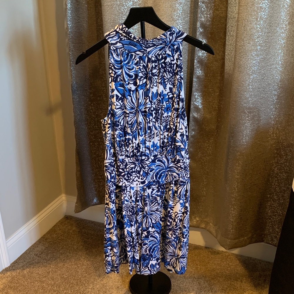 Floral Blue and White Sleeveless Dress